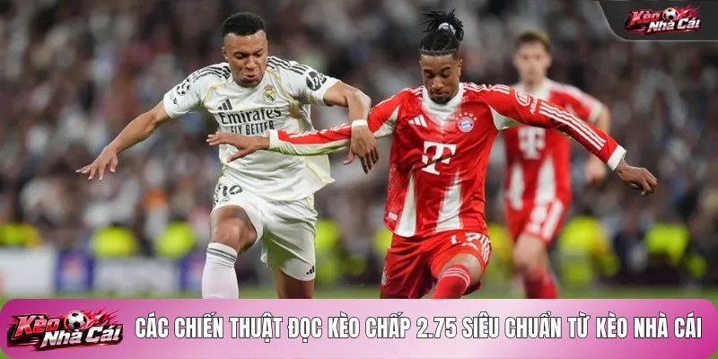 Các chiến thuật đọc kèo chấp 2.75 siêu chuẩn từ kèo nhà cái