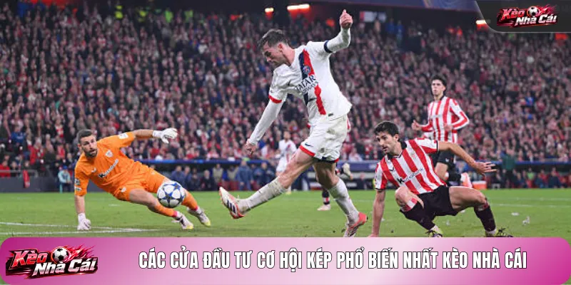 Các cửa đầu tư cơ hội kép phổ biến nhất kèo nhà cái
