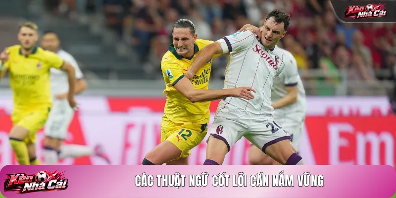 Các thuật ngữ cốt lõi cần nắm vững