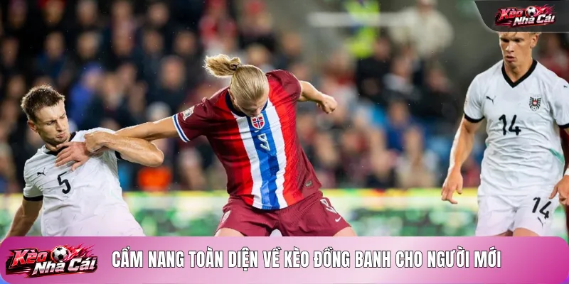 Cẩm nang toàn diện về kèo đồng banh cho người mới