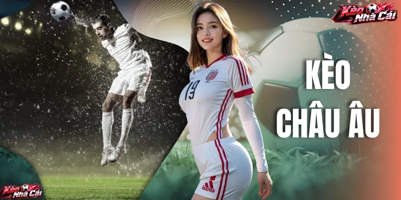 Kèo Châu Âu - Hướng Dẫn Đọc Tỷ Lệ 1X2 Cho Người Mới