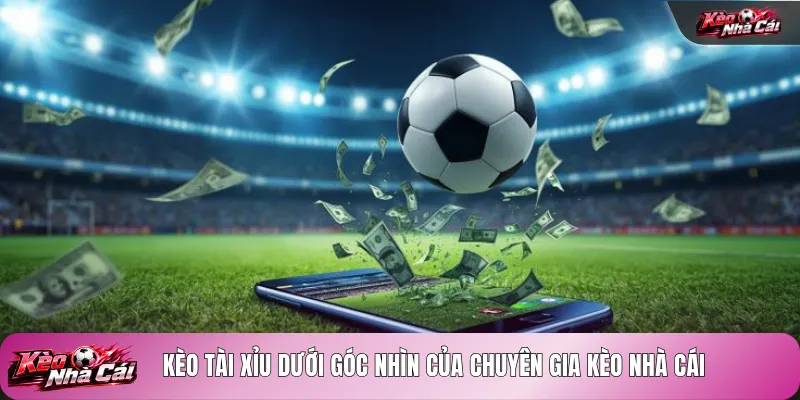 Kèo tài xỉu dưới góc nhìn của chuyên gia kèo nhà cái