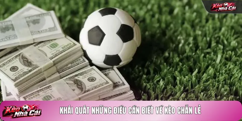 Khái quát những điều cần biết về kèo chẵn lẻ
