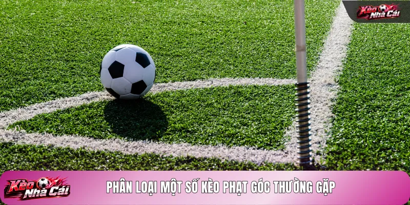 Phân loại một số kèo phạt góc thường gặp