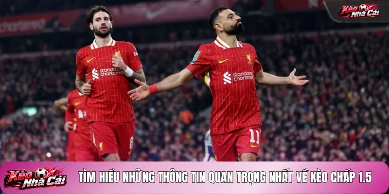 Tìm hiểu những thông tin quan trọng nhất về kèo chấp 1.5